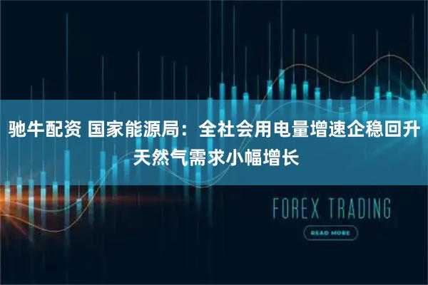 驰牛配资 国家能源局：全社会用电量增速企稳回升 天然气需求小幅增长
