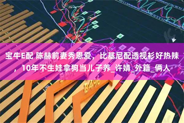 宝牛E配 陈赫前妻秀恩爱，比基尼配透视衫好热辣，10年不生娃拿狗当儿子养_许婧_外籍_俩人