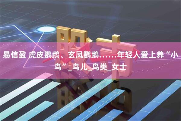 易信盈 虎皮鹦鹉、玄凤鹦鹉……年轻人爱上养“小鸟”_鸟儿_鸟类_女士